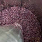 Weekly Deep Dive Weekly Deep Dive