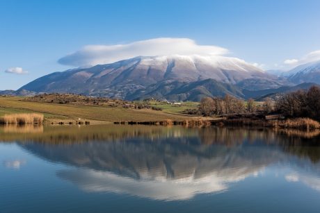 Psalms 49 – 100