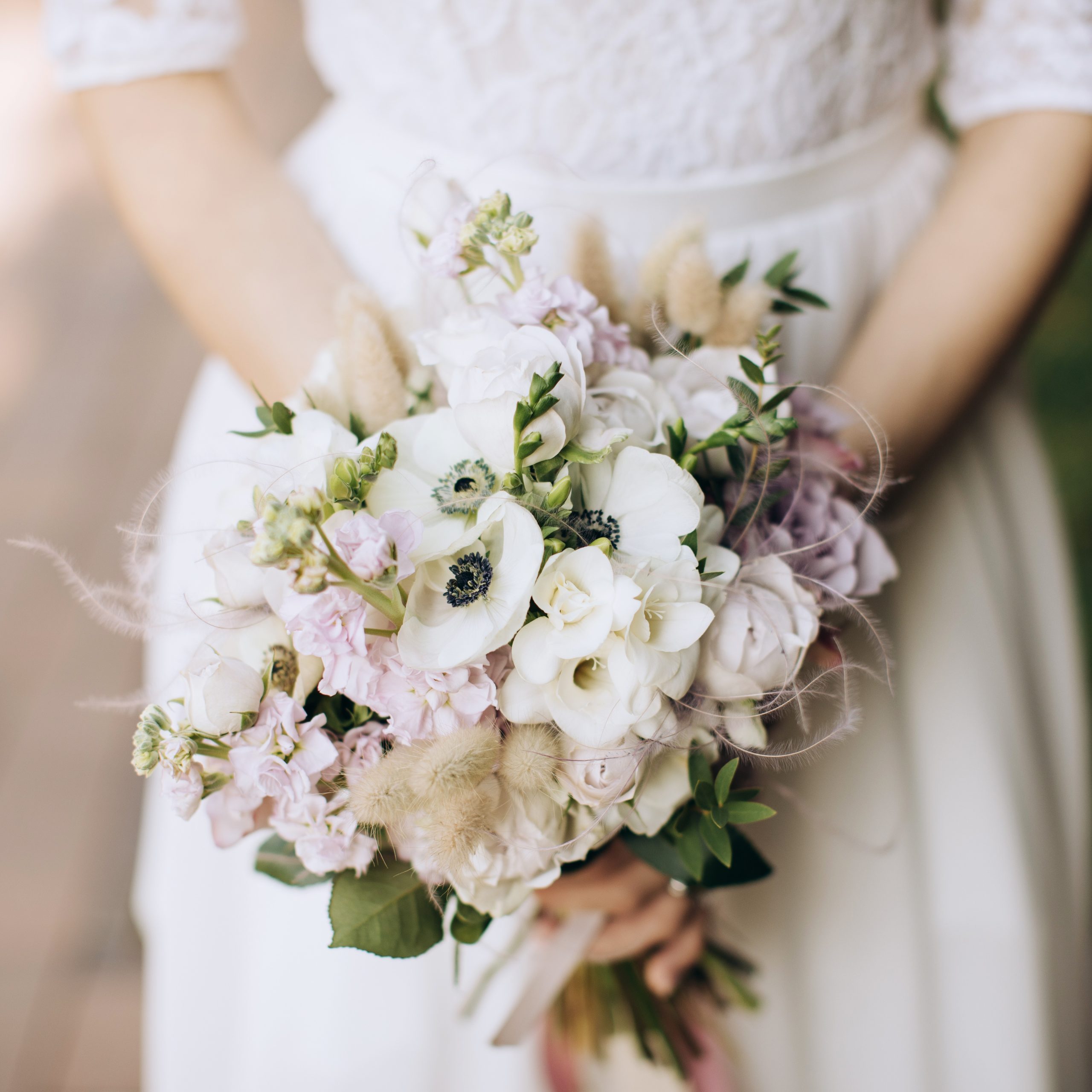 BONUS: Song of Solomon