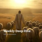 Weekly Deep Dive Weekly Deep Dive